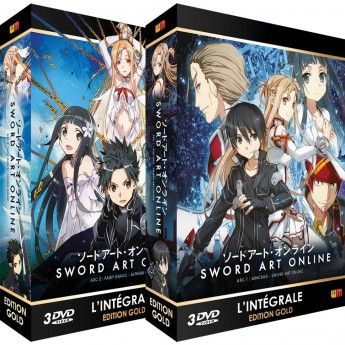 Sword Art Online - Intgrale (Arc 1 et Arc 2) - Pack 2 coffrets DVD - Edition Gold