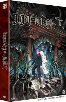 Jujutsu Kaisen - Saison 1 - Coffret DVD