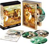 Ailes Grises (Haibane Renmei) - Intgrale - Coffret DVD + Livret - Edition Gold - VOSTFR/VF