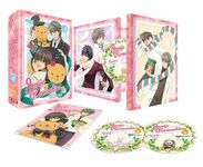 Junjô Romantica - Saison 2 - Coffret DVD + Livret