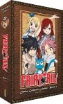 Fairy Tail - Partie 1 (Saisons 1  4) - Edition Collector Limite - Coffret A4 DVD - 175 Eps.