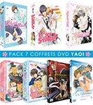 Pack Yaoi (Sekaiichi Hatsukoi + Hybrid Child + Junj Romantica + Love Stage!! + Samoura dans la tourmente + Jeux d'amour) - Pack 5 Coffrets DVD + 2 DVD