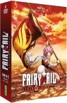 Fairy Tail - Dernière saison - Partie 1 - Edition Collector - Coffret DVD